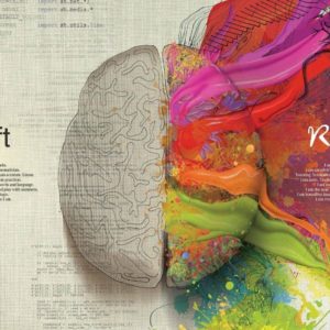 brain